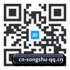 系统版 iOS 二维码